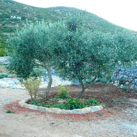 Lavender Alpesi faház Trpanj