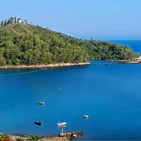 Lavender Trpanj
